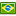 Portuguese (BR)